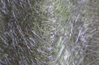 Copgrove fibreglass roof work