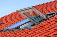 Copgrove roof window